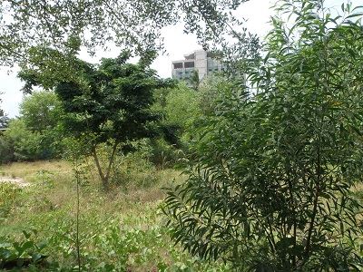 TERRAIN A VENDRE CV POINTE NOIRE