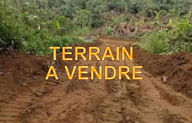 TERRAINS A VENDRE WHARF POINTE-NOIRE